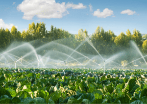Agriculture