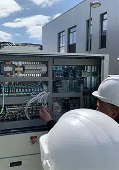 litchandfak litchandfak