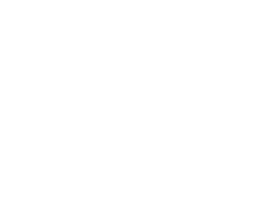 Packaged Solutions Icon