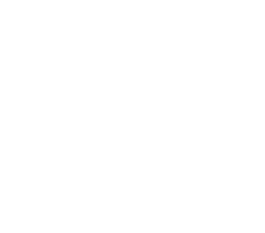 Technical Expertise Icon