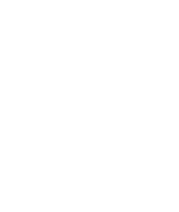 Trusted Icon