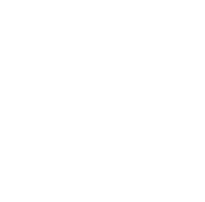 Delivery Icon